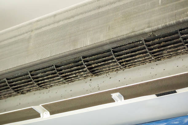 Best Emergency Air Duct Cleaning  in Lansdale, PA